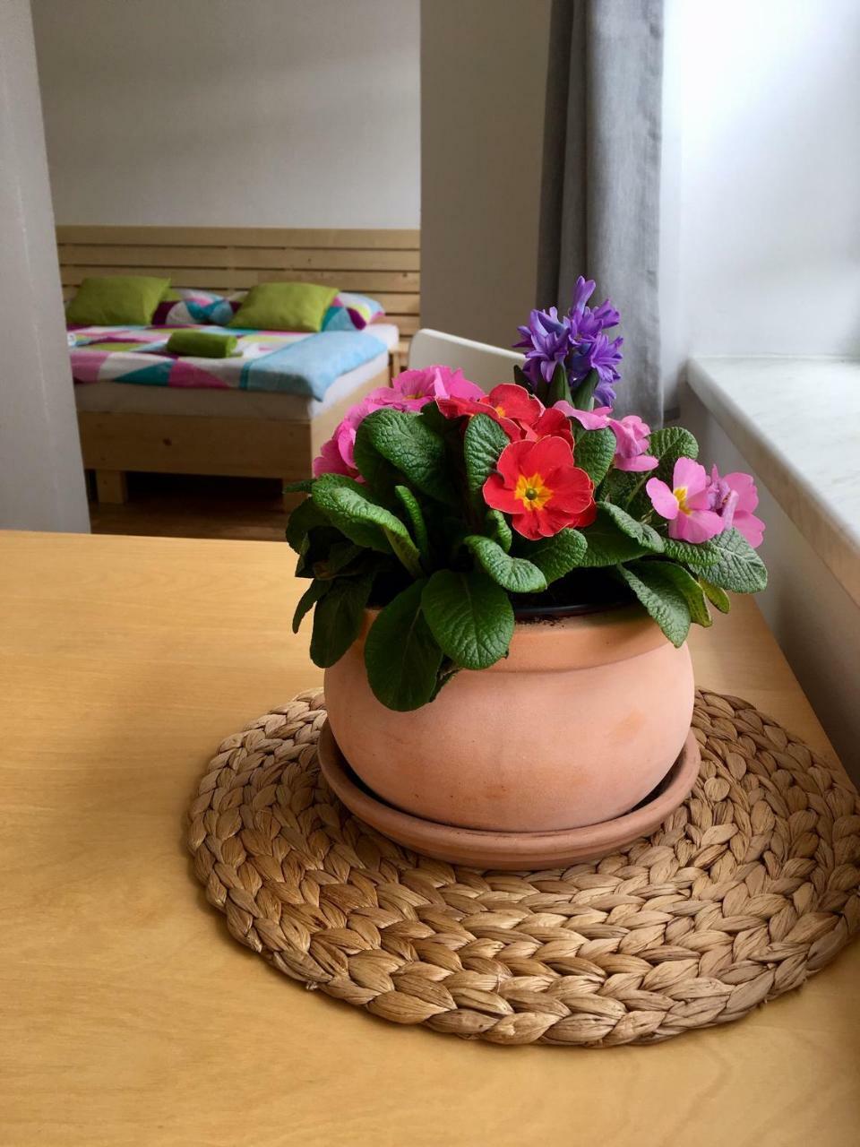 Apartmany A Ubytovani Mlynice Litovel Εξωτερικό φωτογραφία